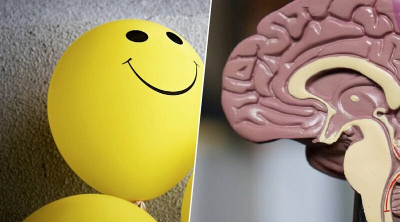 A importância dos pensamentos positivos na busca pela felicidade é confirmada