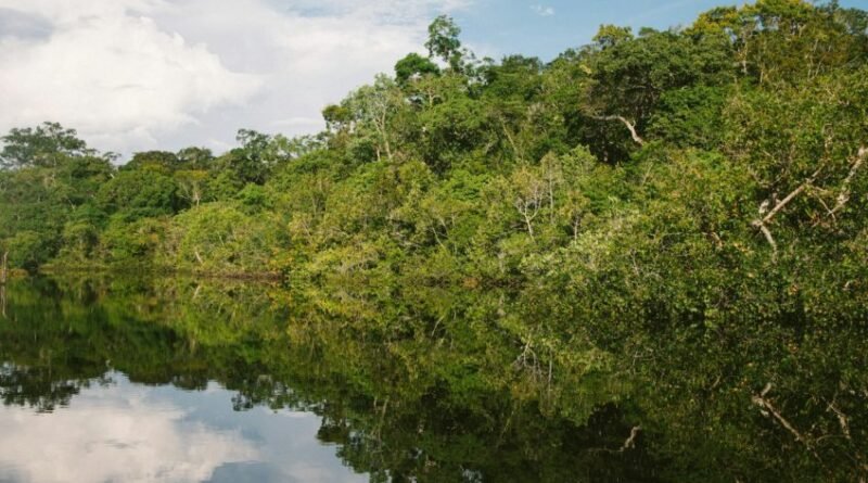 Desmatamento eleva temperatura da superfície da Amazônia em 3°C durante a estação seca