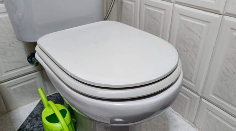 Encanador sugere ingrediente eficaz para eliminar odor de urina no banheiro