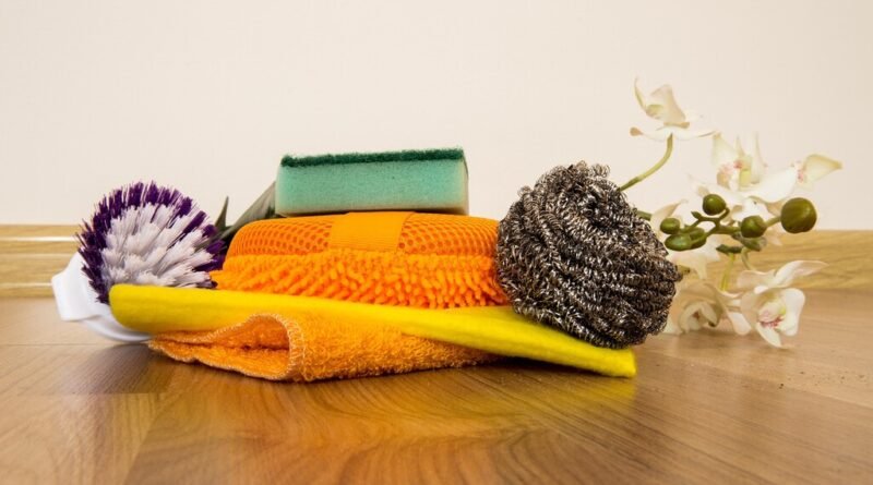 Esponjas velhas podem se tornar aliadas na preservação das plantas