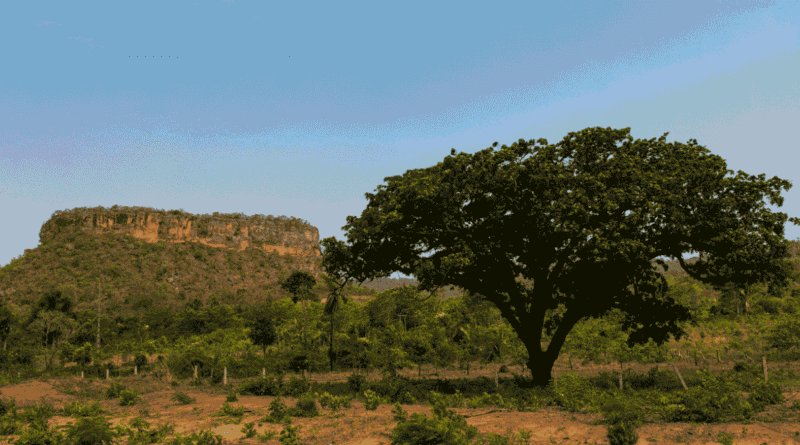 Governo Lula desapropria 5554 hectares de fazendas em cinco estados para reforma agrária