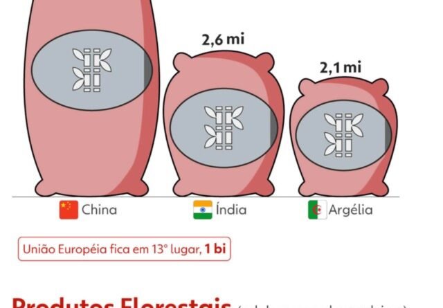 Parmesão e gorgonzola: alimentos brasileiros poderão manter nomes após acordo UE-Mercosul