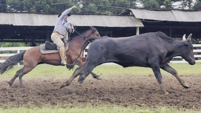 Relação entre pais e filhos preserva tradição dos rodeios crioulos no Rio Grande do Sul