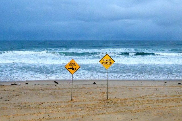 Tragédia na Austrália: Menino de 12 anos perde a vida após ataque de tubarão