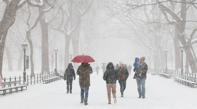 Vídeo de árvore congelada 'explodindo' durante nevasca nos EUA é falso e gerado por inteligência artificial
