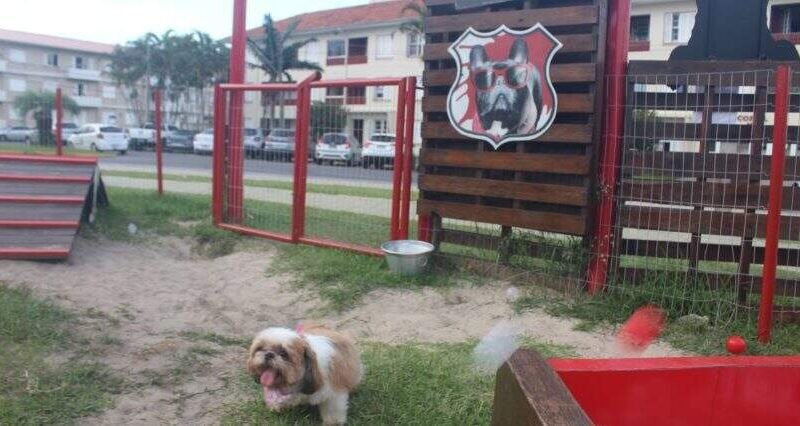 Atlântida oferece ambiente seguro para cães aproveitarem o verão