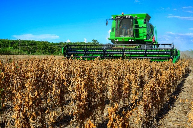 Aumento de 50% nos pedidos de falência de agricultores nos EUA em 2025 durante o ano do tarifaço de Trump