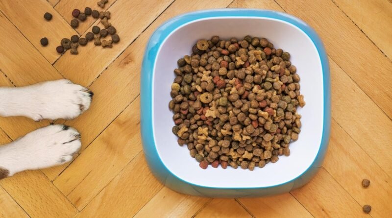 Brasil autoriza exportação de 40 plantas de pet food para a Costa Rica