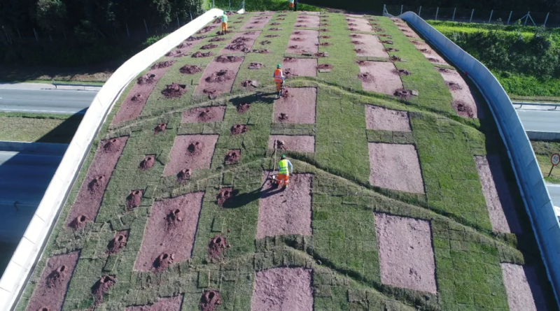 Califórnia investe R$100 milhões em megaestrutura sobre rodovia, mas sem uso humano