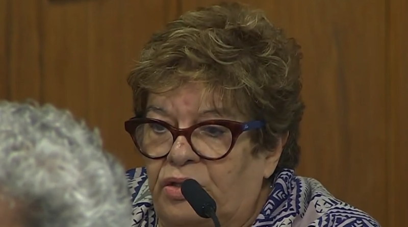 Câmara é criticada por conselheira por não ouvir todos na regulamentação do streaming