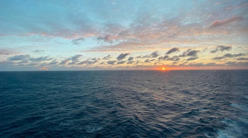 Centenas de novas espécies descobertas no Pacífico revelam motivo alarmante para as pesquisas