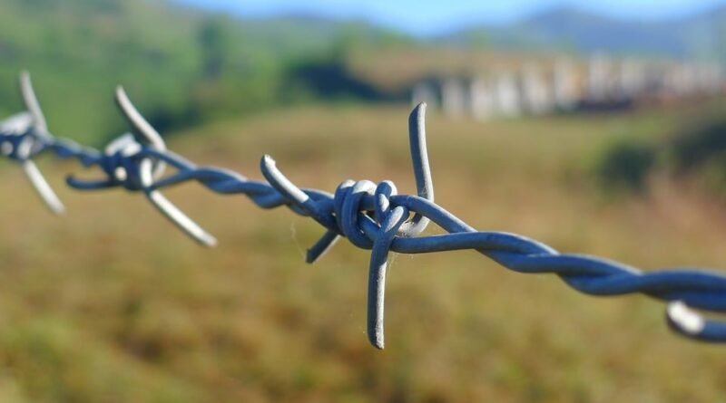 Cercas planejadas potencializam fertilidade e produtividade do rebanho