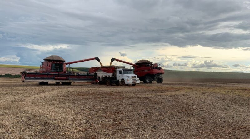 Chuvas intensas comprometem colheita de soja em Mato Grosso, segundo Aprosoja