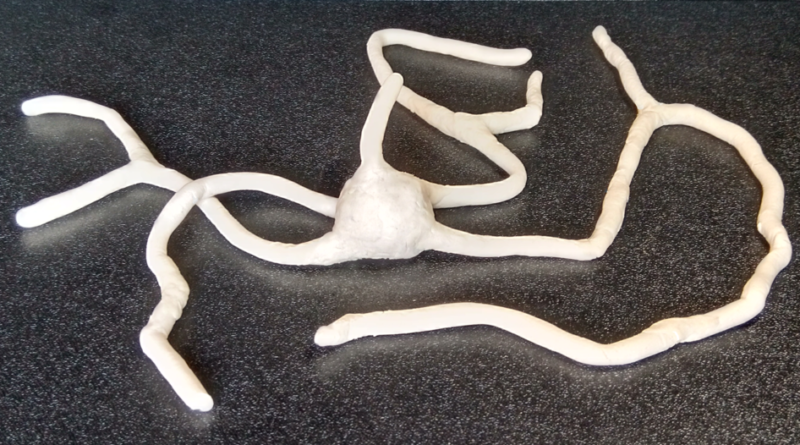 Cientistas identificam ancestral comum de toda a vida complexa em microorganismo que utiliza oxigênio