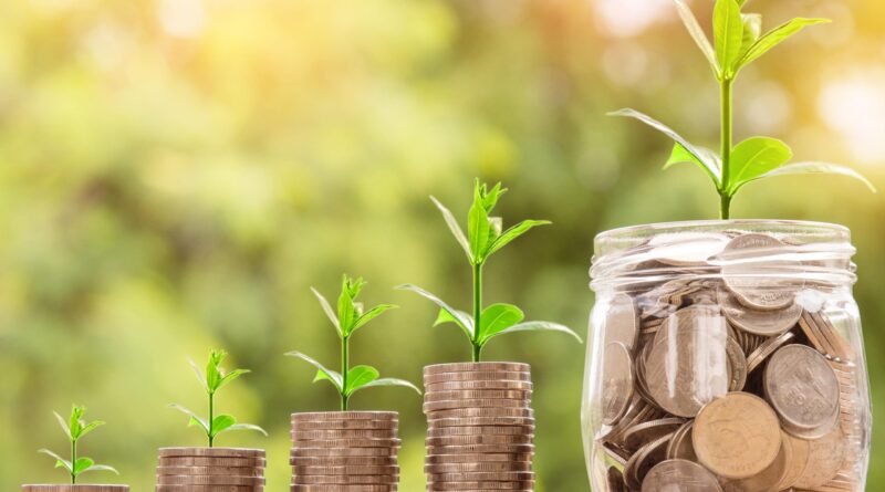 Crédito rural com potencial sustentável registra queda no primeiro semestre, revela consultoria