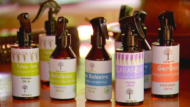 Cultivo de plantas aromáticas impulsiona produção de óleos essenciais