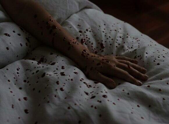 Deputada gaúcha afirma que avanço dos feminicídios no RS não é resultado da falta de leis