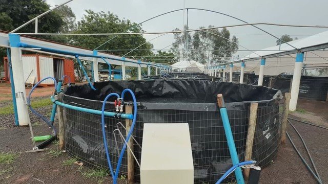 Excesso de chuva ameaça a piscicultura com possíveis prejuízos