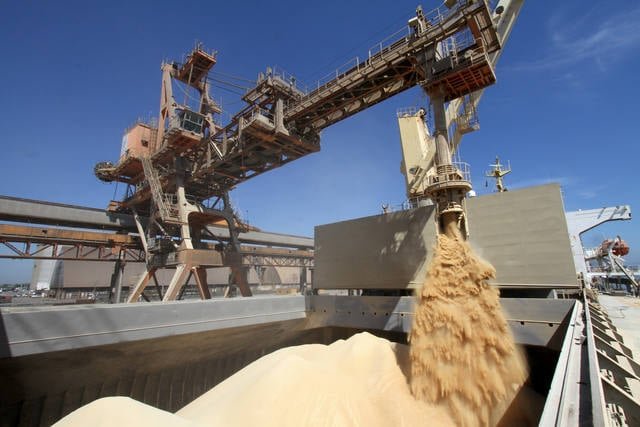 Exportações de soja do Brasil atingem 2,692 milhões de toneladas em fevereiro