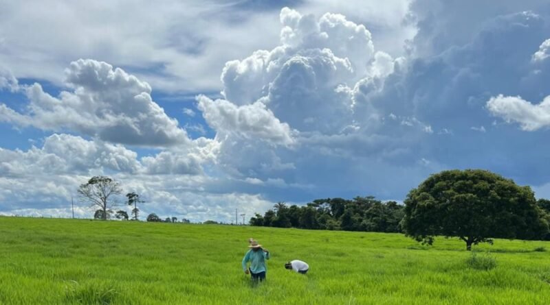 Fazenda Recanto se destaca pela eficiência na pecuária de corte em 2026