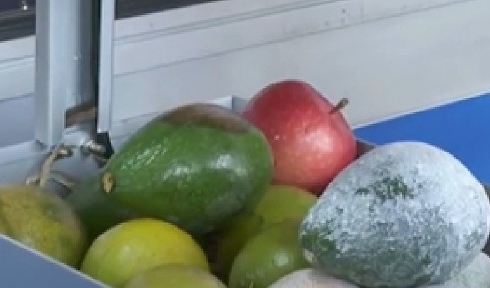 Feira de Agronegócio apresenta protetor solar para frutas em Piracicaba