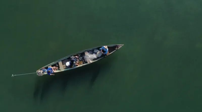 Governo anula 76 mil licenças de pescadores profissionais