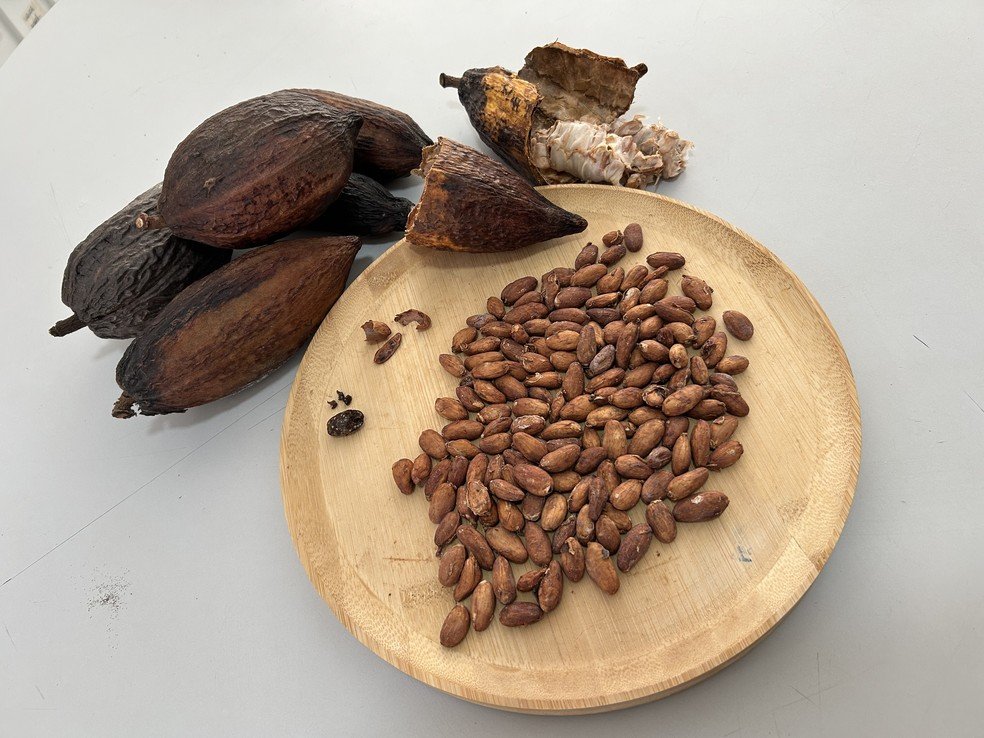 Imagem de amêndoas de cacau.