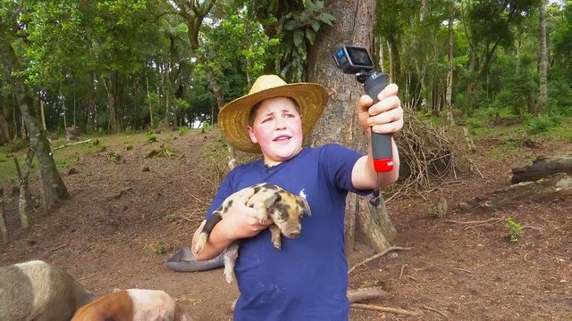 Influencer rural ganha destaque ao mostrar sua rotina no Paraná sem roteiros pré-definidos