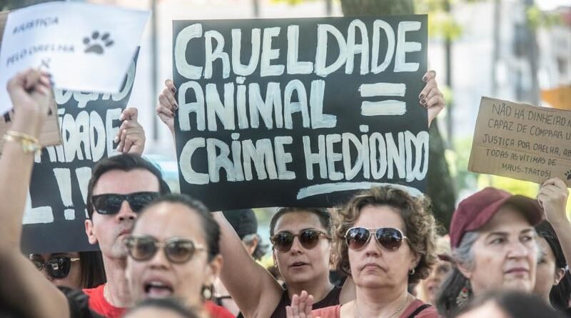 Morte do cão Orelha gera protestos por justiça em todo o país