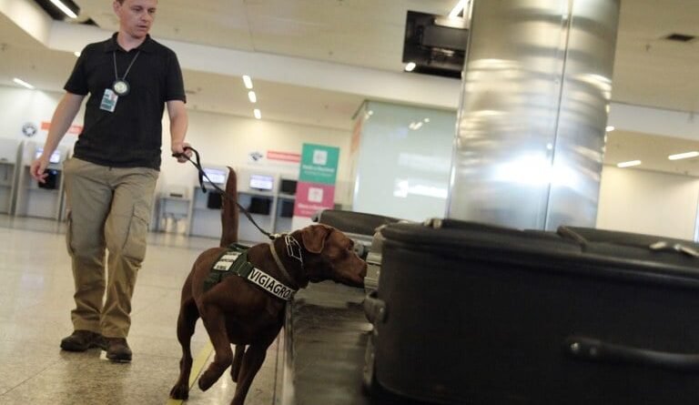 Nova portaria do Mapa estabelece diretrizes para fiscalização agropecuária de bagagens