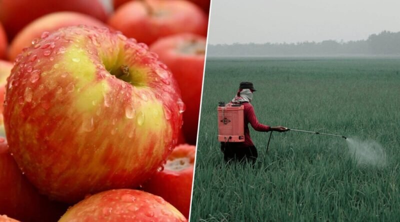 Novo estudo europeu revela que maças não são o alimento mais saudável como pensávamos