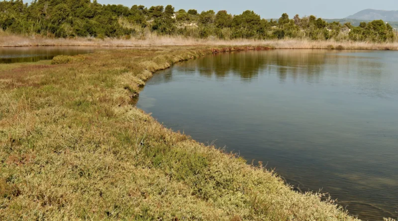 Oito vítimas em acidente de ônibus que caiu no lago mais profundo do mundo na Sibéria