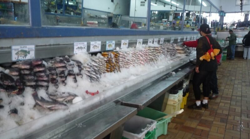 Peixes consumidos contêm metilmercúrio, mas quatro espécies devem ser evitadas