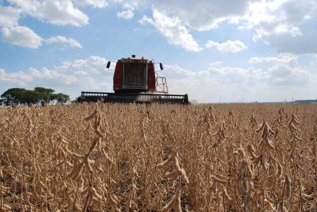 Safra de grãos no Rio Grande do Sul atinge 38,9 milhões de toneladas