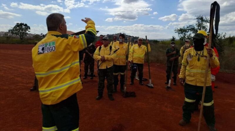 São Paulo oferece 243 oportunidades para brigadistas com salários de até R$ 4 mil; confira o passo a passo para se inscrever