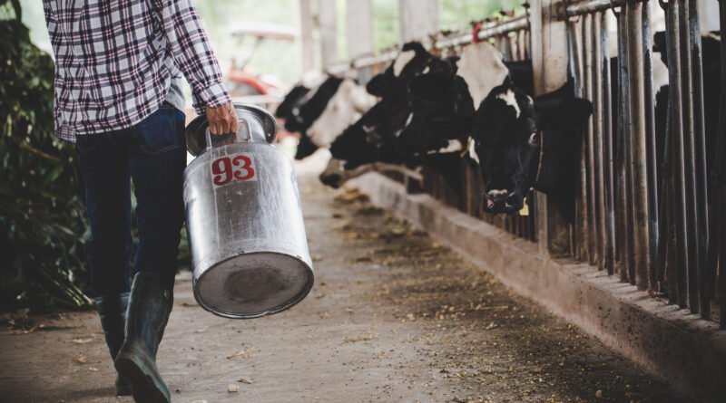 Setor leiteiro apresenta manifesto com seis objetivos e metas ao governador de Santa Catarina
