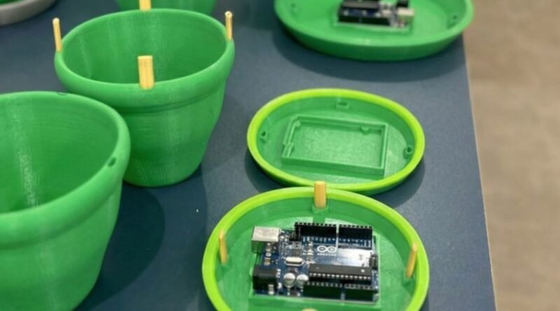 Startup cria armadilha inovadora para controle biológico do mosquito da dengue