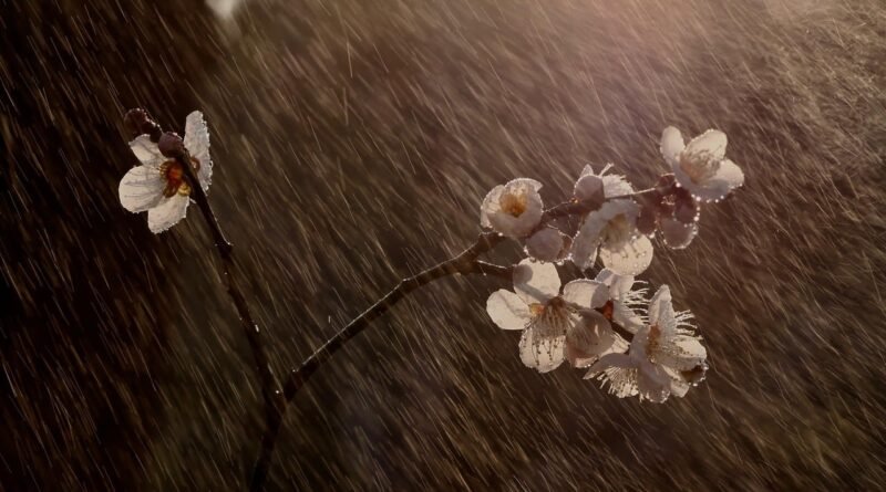 Temporais isolados devem afetar quatro regiões do país hoje