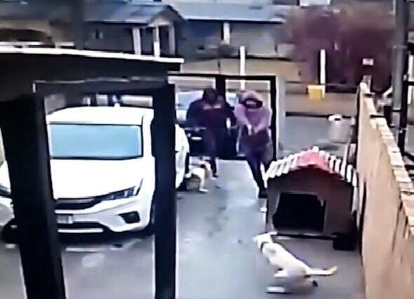 Acusado de homicídio de criança em ataque a tiros em Imbé enfrenta júri popular nesta quinta-feira