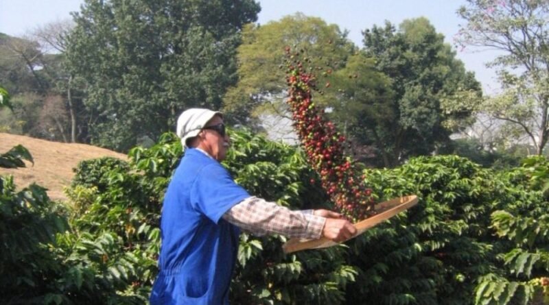 Agro paulista registra superávit de US$ 2,79 bilhões no primeiro bimestre