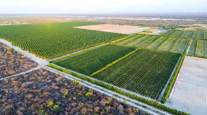 Barra AgroShow 2026 é lançado em Juazeiro, sinalizando a expansão estratégica do Médio São Francisco