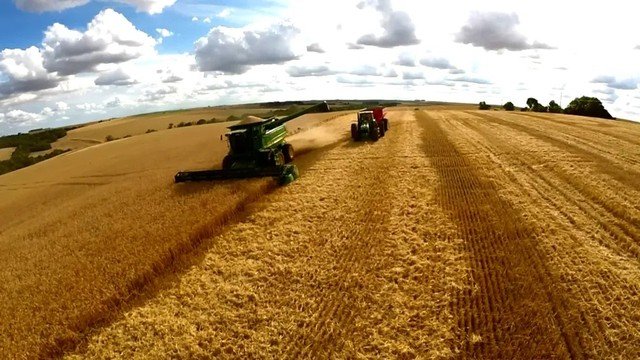 Cargill interrompe exportação de soja do Brasil para a China após alteração em inspeções