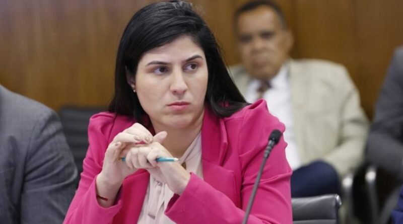 CCJ aprova inclusão de nome afetivo para crianças em adoção