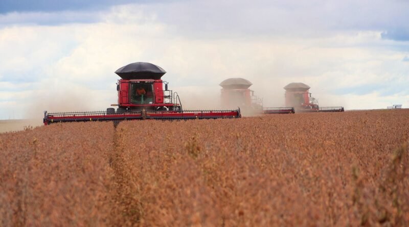 Colheita de soja no Brasil avança, mas ainda está atrasada em comparação ao ano passado