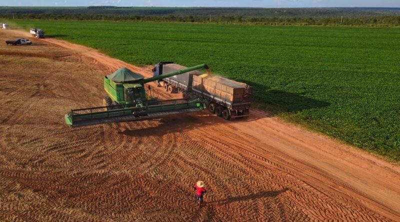 Colheita de soja no Rio Grande do Sul alcança 10% da área plantada, segundo Emater