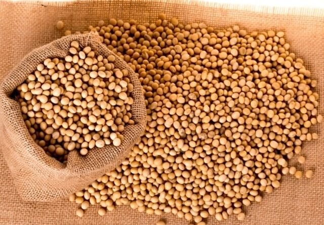 Excesso de chuva provoca atraso na colheita enquanto comercialização de soja avança com cautela