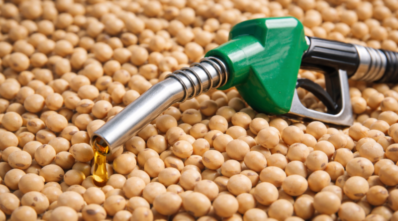 Governo planeja aumentar a mistura de biodiesel no diesel