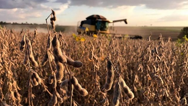 Guerra no Oriente Médio impulsiona preços da soja, mas barreiras fitossanitárias impedem exportações