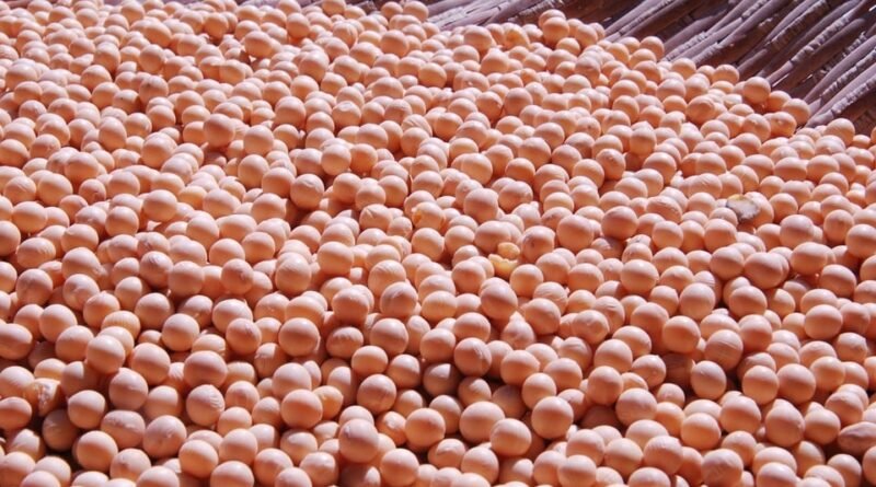 Mercado de soja se prepara para relatório do USDA e encontro entre Trump e Xi Jinping