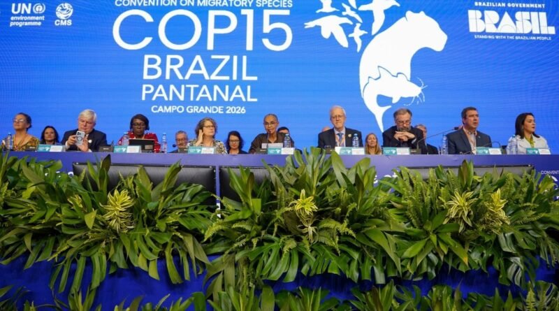 ONU anuncia proteção internacional para 40 novas espécies migratórias